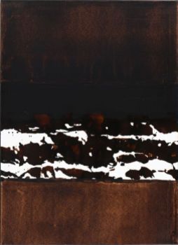 brou de noix sur papier 75,5 x 54,5 cm, 1999
